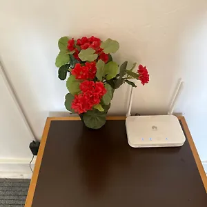 Rose View Лиссабон